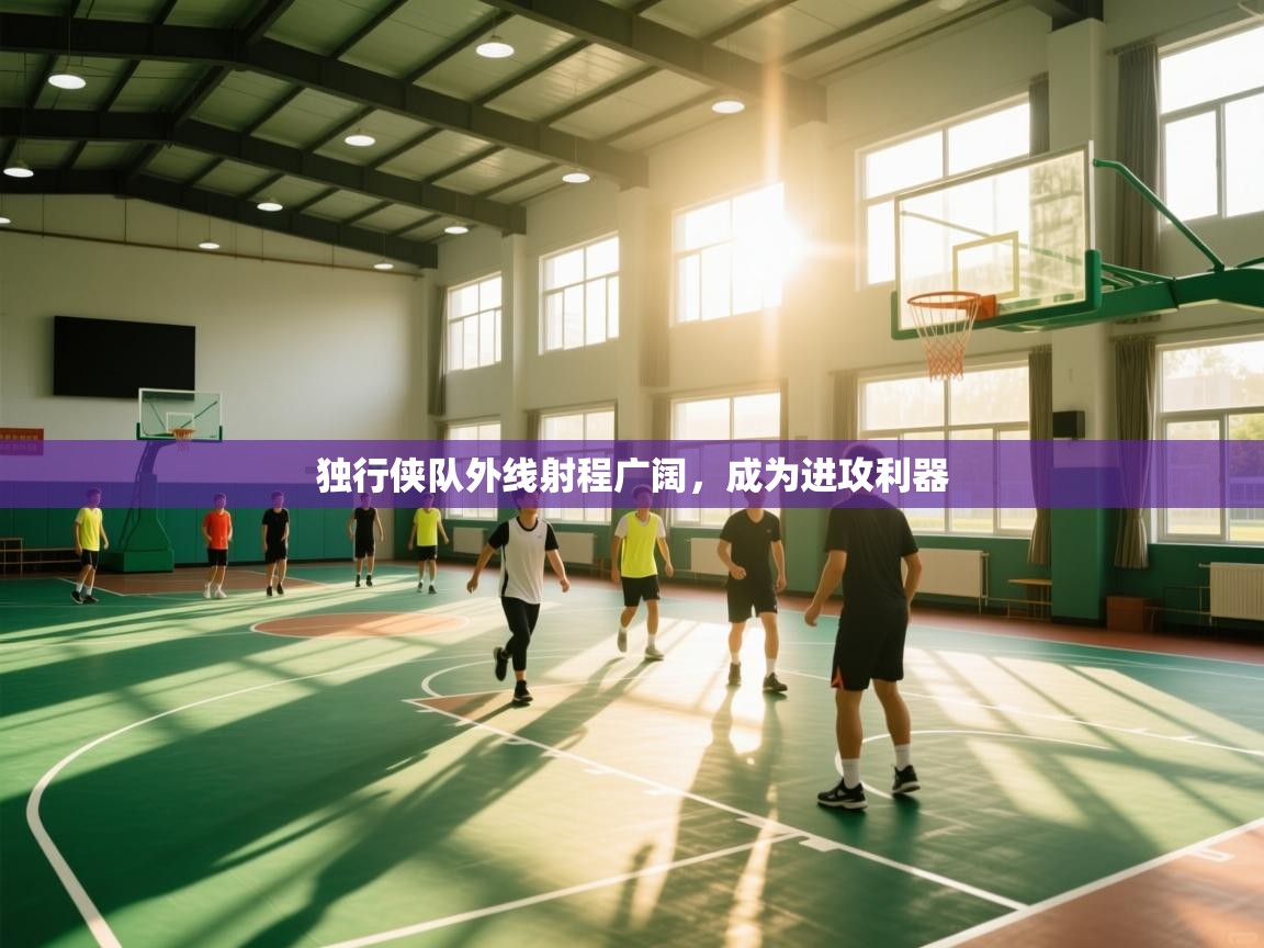 独行侠队外线射程广阔，成为进攻利器  第2张